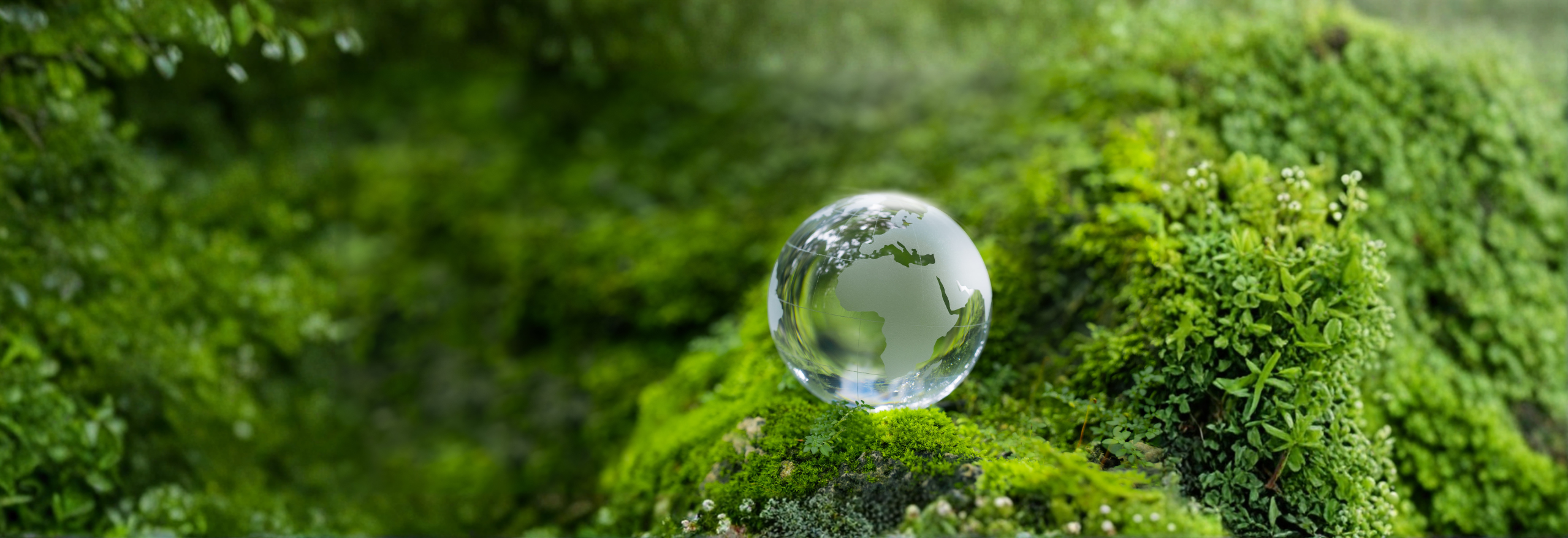 Slim omgaan met netcongestie? De batterij als gamechanger